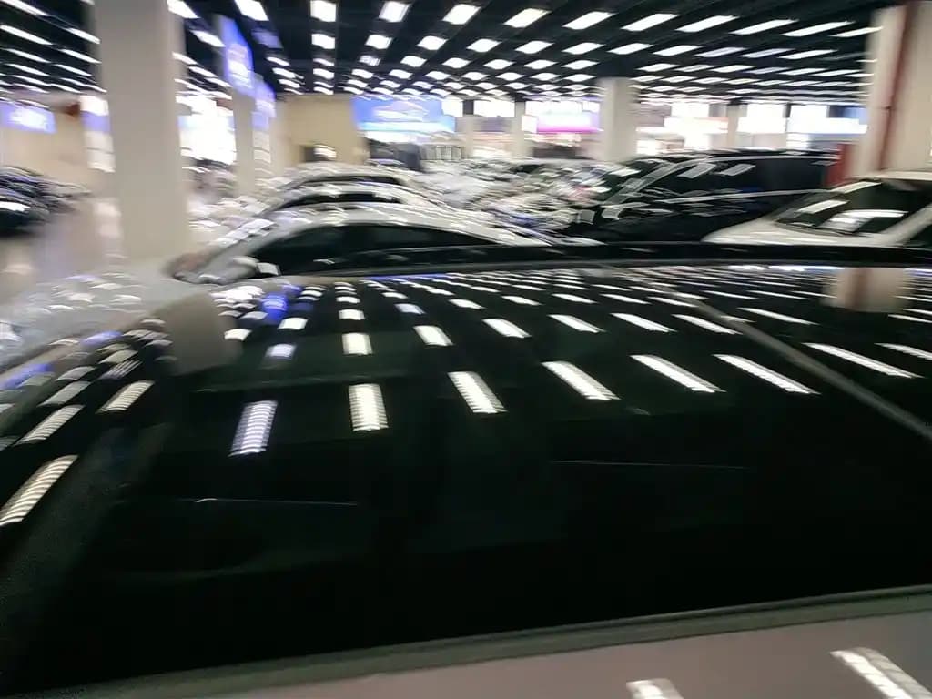 Thumbnail 29